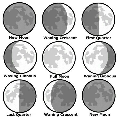 The Moon Cycle | The Moon ...