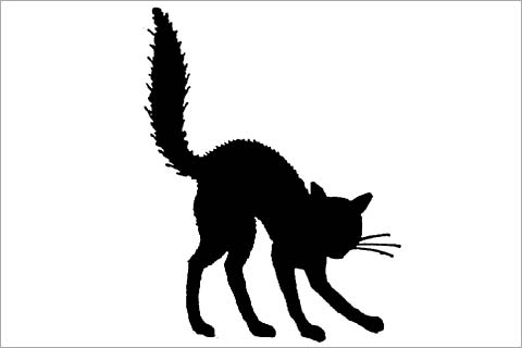 Scared black cat clipart