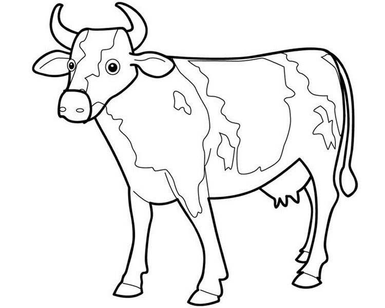 Cow Pictures For Children | Free Download Clip Art | Free Clip Art ...