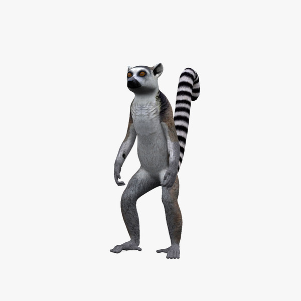 Lemur Clipart | Free Download Clip Art | Free Clip Art | on ...