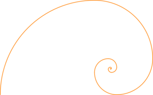 Fibonacci Spiral Orange Clip Art - vector clip art ...