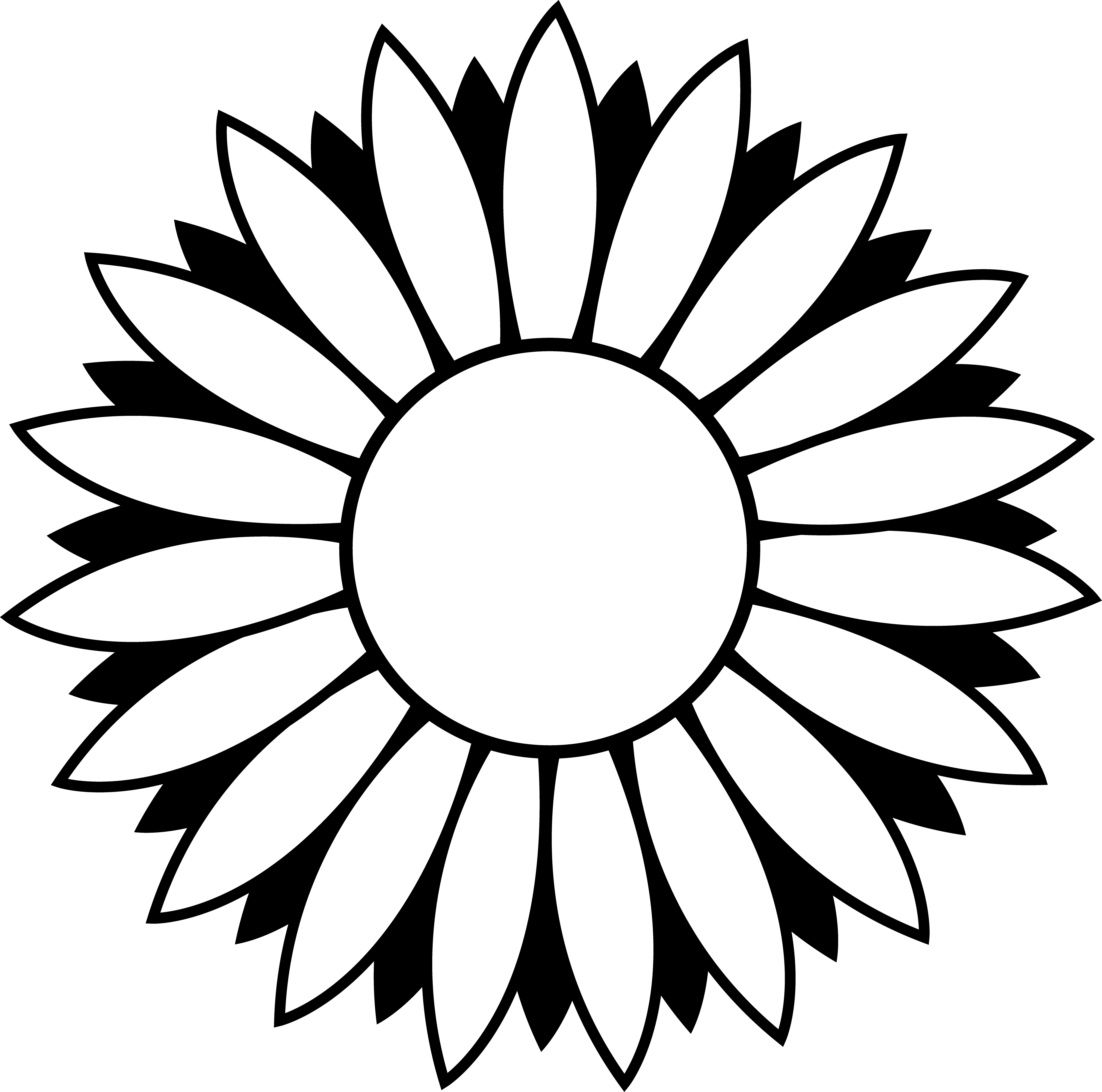 Sunflower Drawings Clipart