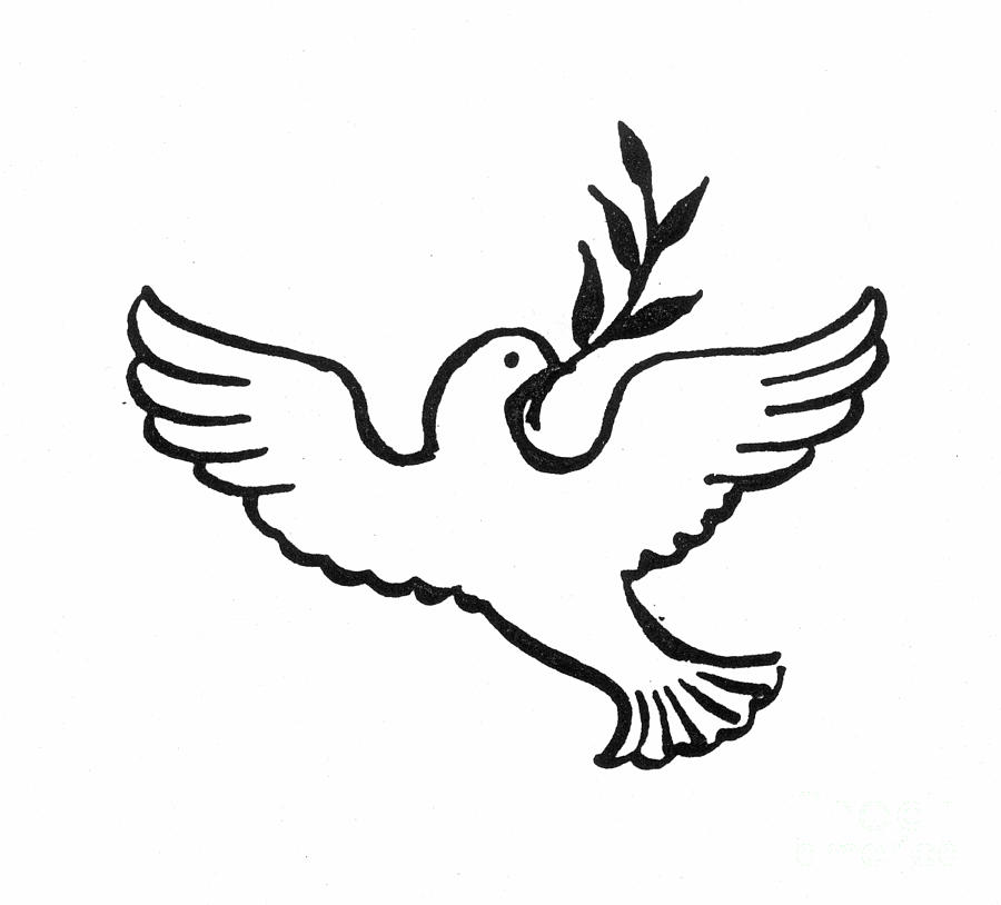 Dove Line Art | Free Download Clip Art | Free Clip Art | on ...