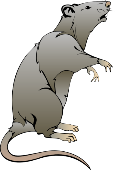 Clip Art Rats Clipart - Free to use Clip Art Resource