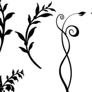 Ornate, Floral, Swirly and Curly Vector Roundup