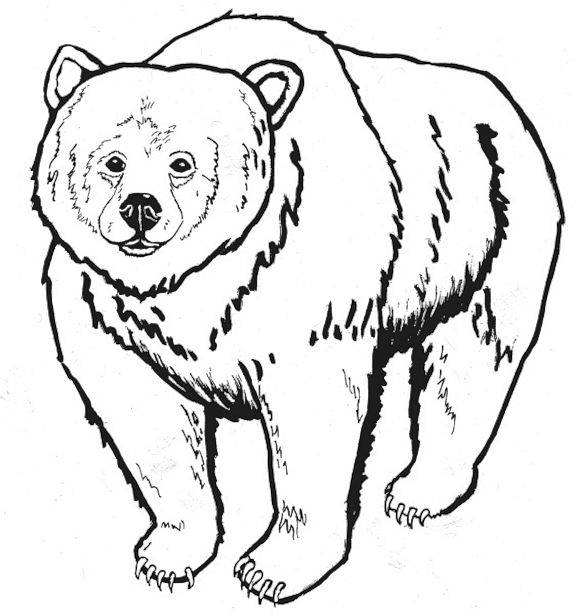 Free Printable Bear Coloring Pages For Kids