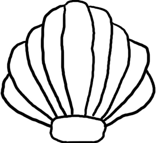 Conch Shell Clip Art - ClipArt Best