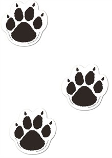 Paw Print Magnet|Dog Trax Stickers|Pooch Paw Car Magnets