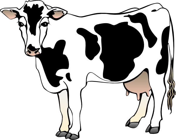 Free Drawing Cow From The Category Farm Animals Ranch Pictures ...