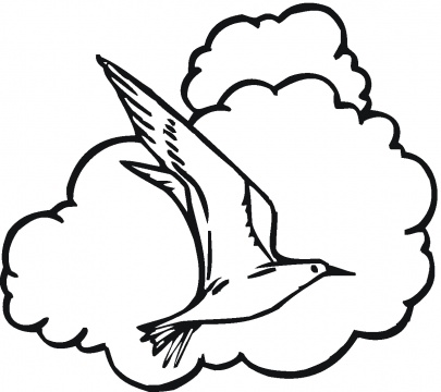 Seagulls coloring pages | Super Coloring