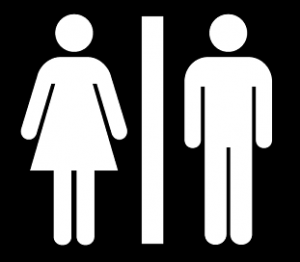 Toilet-Symbol-300x262.png