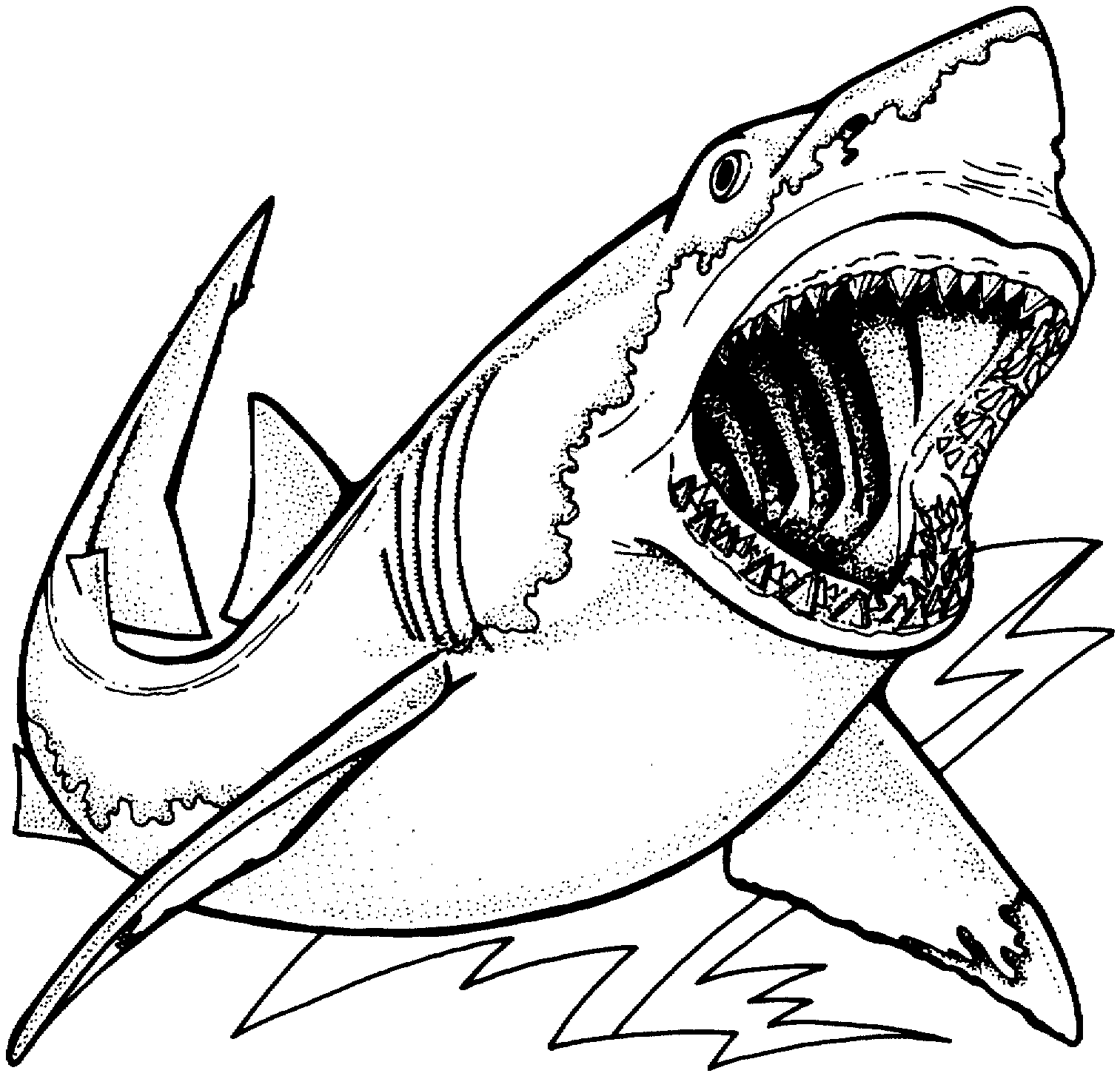 Sketch Drawing of Great White Shark Coloring Page Kids Play Color ...