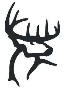 Amazon.com: Buck Commander Deer Vinyl Die Cut Decal Sticker 6 ...