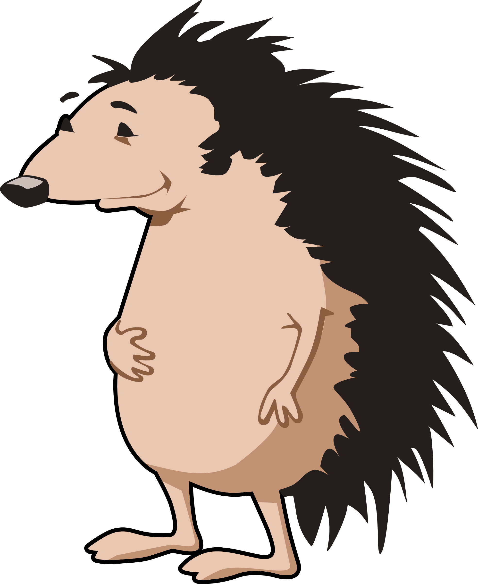 Images For > Clipart Porcupine