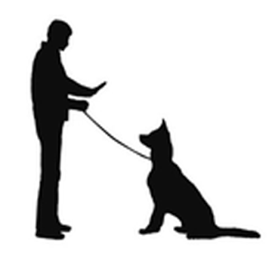 Dog Training Clipart