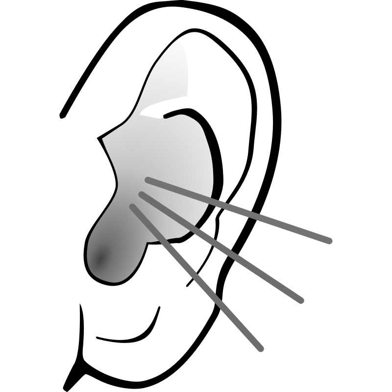 Ear Clipart - Clipartion.com