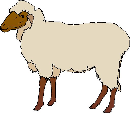 Free Lamb Clip Art Pictures - Clipartix