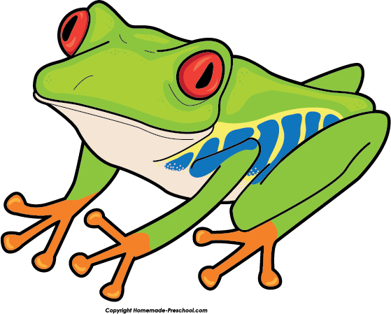 Clipart of a tree frog