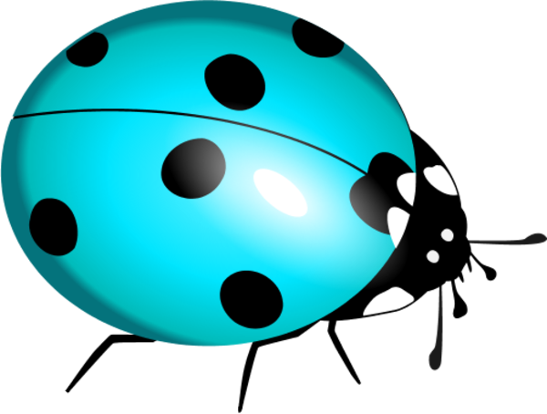 ladybug ladybird - vector Clip Art