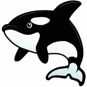 Excellent Shamu Killer Whale Clip Art Graphic | ClipArTidy