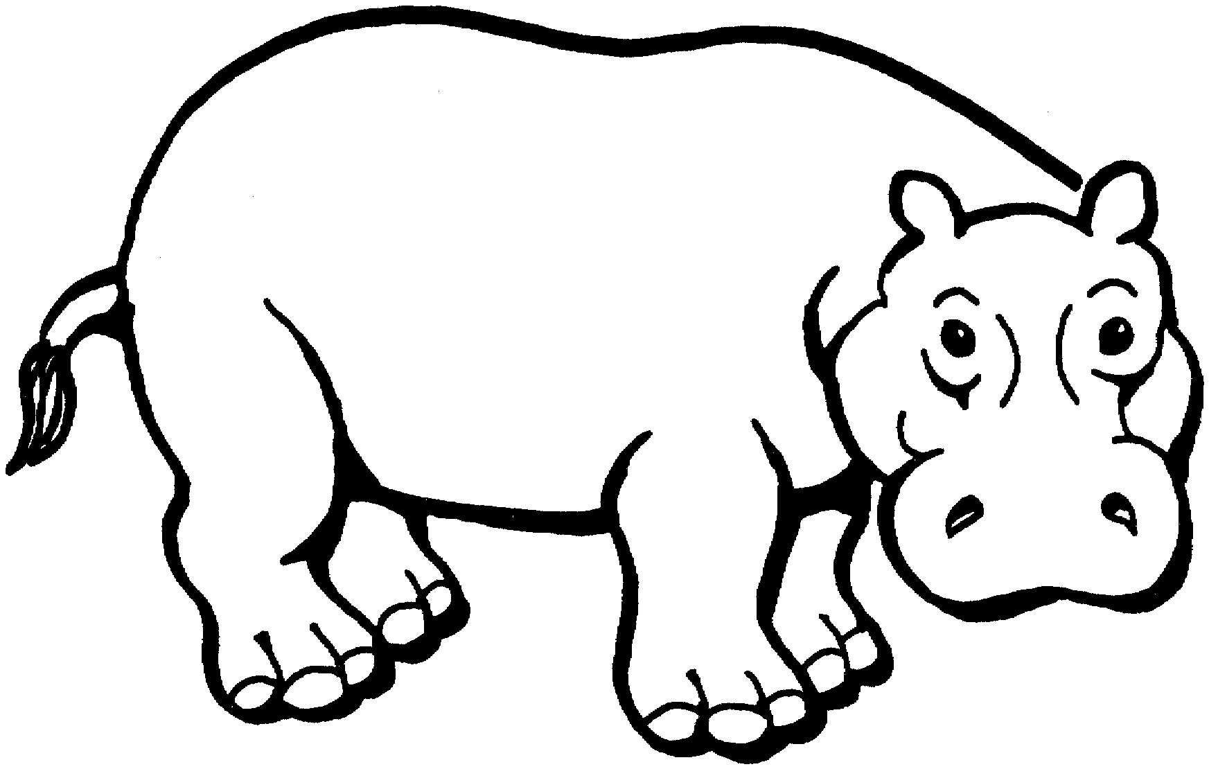 hippo line drawing Gallery