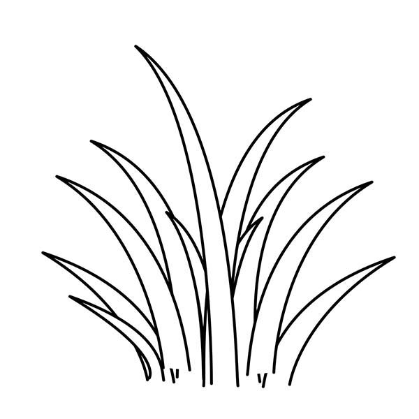 Plants World Grass Coloring Pages: Plants World Grass Coloring ...