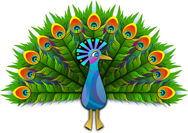 Peacock clip art