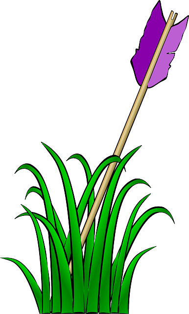 ARROW, FEATHER, CARTOON, PURPLE, GRASS, GROUND, HIT - Public ...