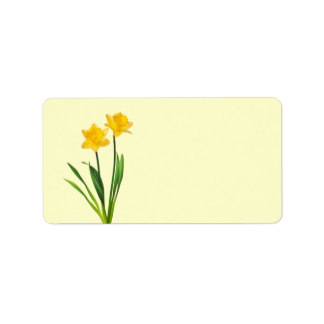 Daffodil Cards | Zazzle