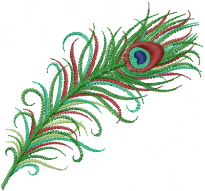 peacock feather clip art | Hostted