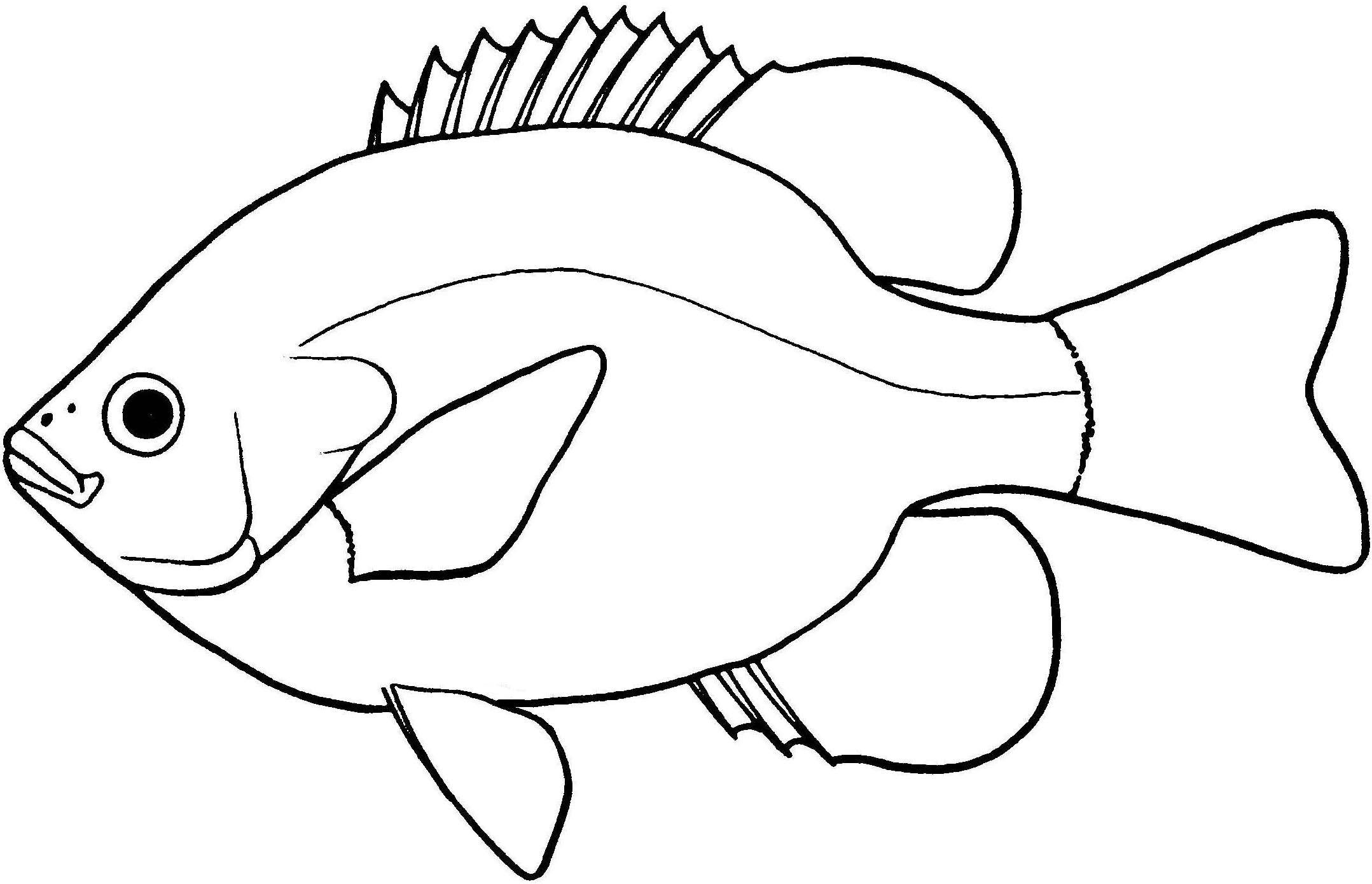 Fish Beautiful Image Drawing | Drawing Images