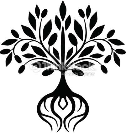 Olive Tree Vector Art | Thinkstock - ClipArt Best - ClipArt Best