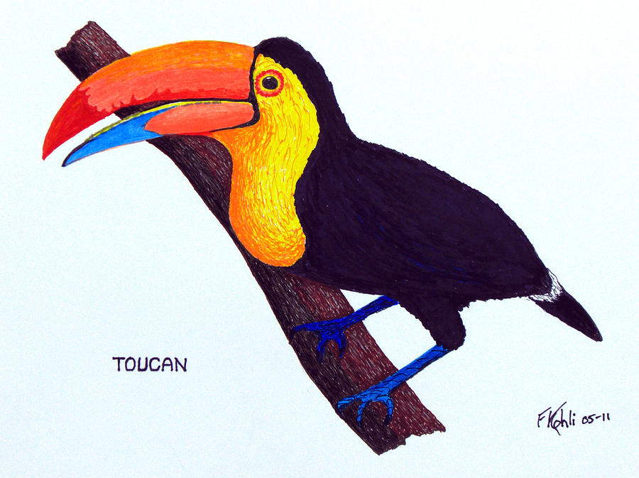 Toucan Realistic Art, Pencil Drawing Images