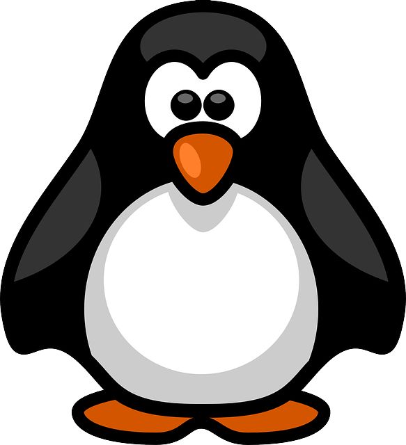 1000+ images about Penguins!!!!