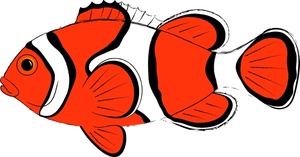 Clown fish clipart black and white