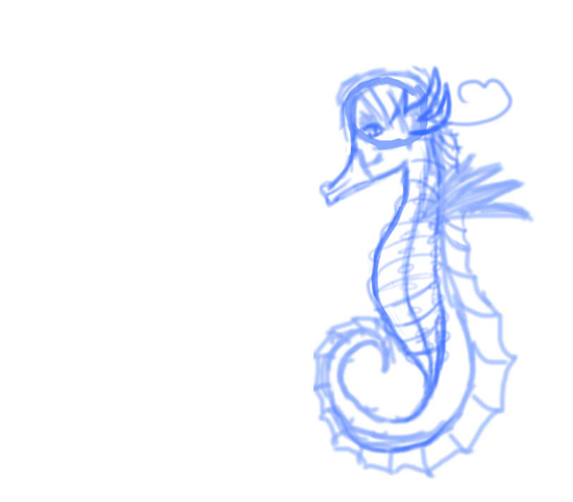 seahorse sketch