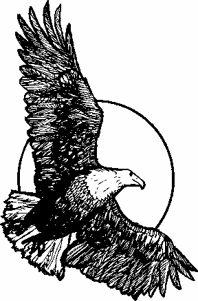 White Eagle Clipart