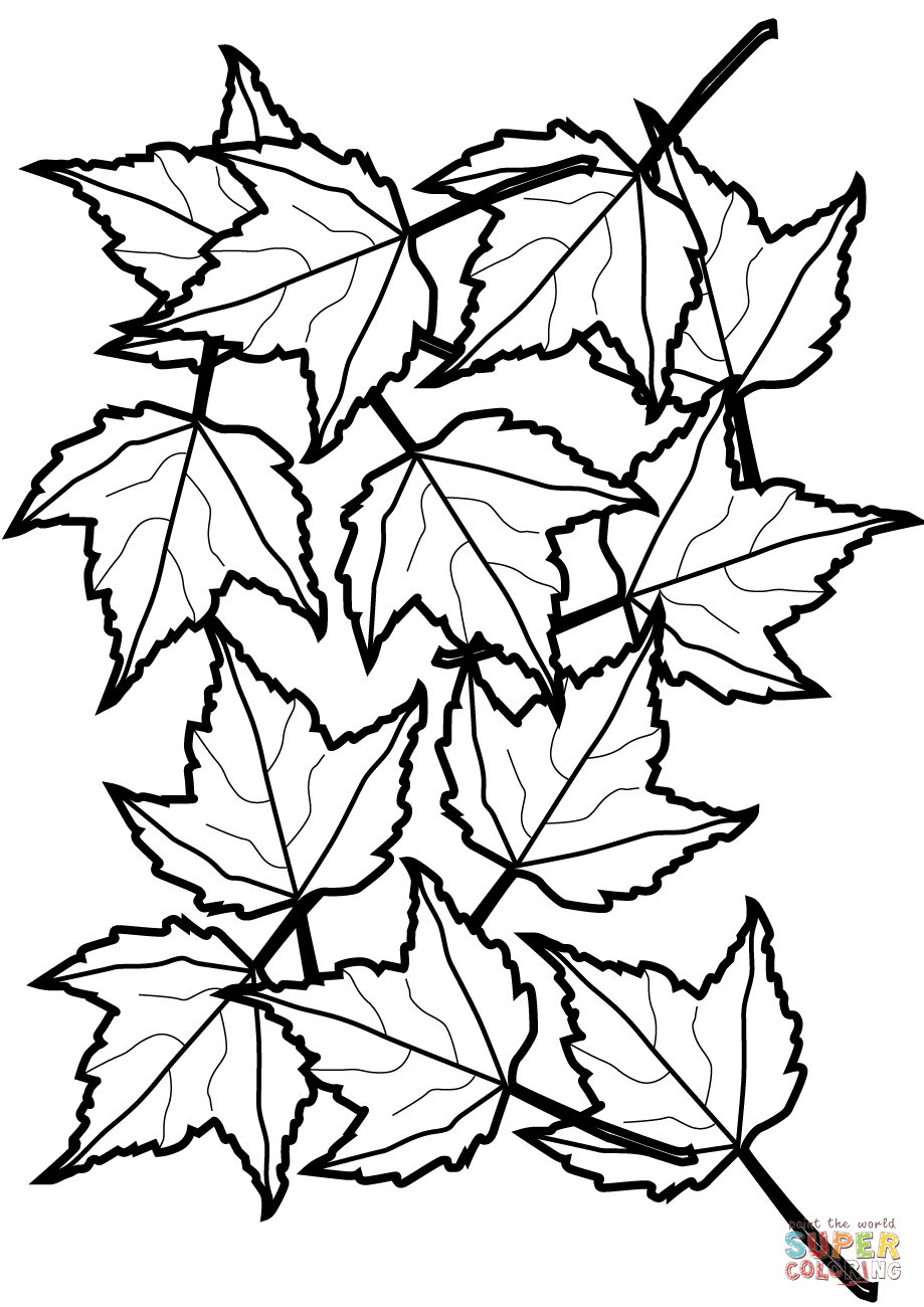 Autumn Maple Leaves coloring page | Free Printable Coloring Pages