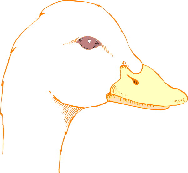 Duck Head Drawing SVG Downloads - Outline - Download vector clip ...