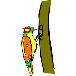 Woodpecker clipart, cliparts of Woodpecker free download (wmf, eps ...