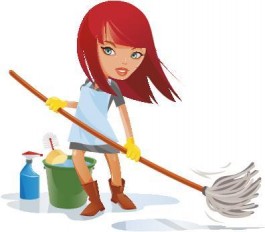 Housekeepers/Cleaning Services - The Aha! Connection