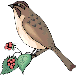 Sparrow 10 clipart, cliparts of Sparrow 10 free download (wmf, eps ...