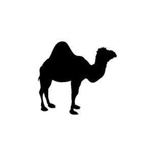 Yahoo! Image Search Results for black and white camel - Polyvore