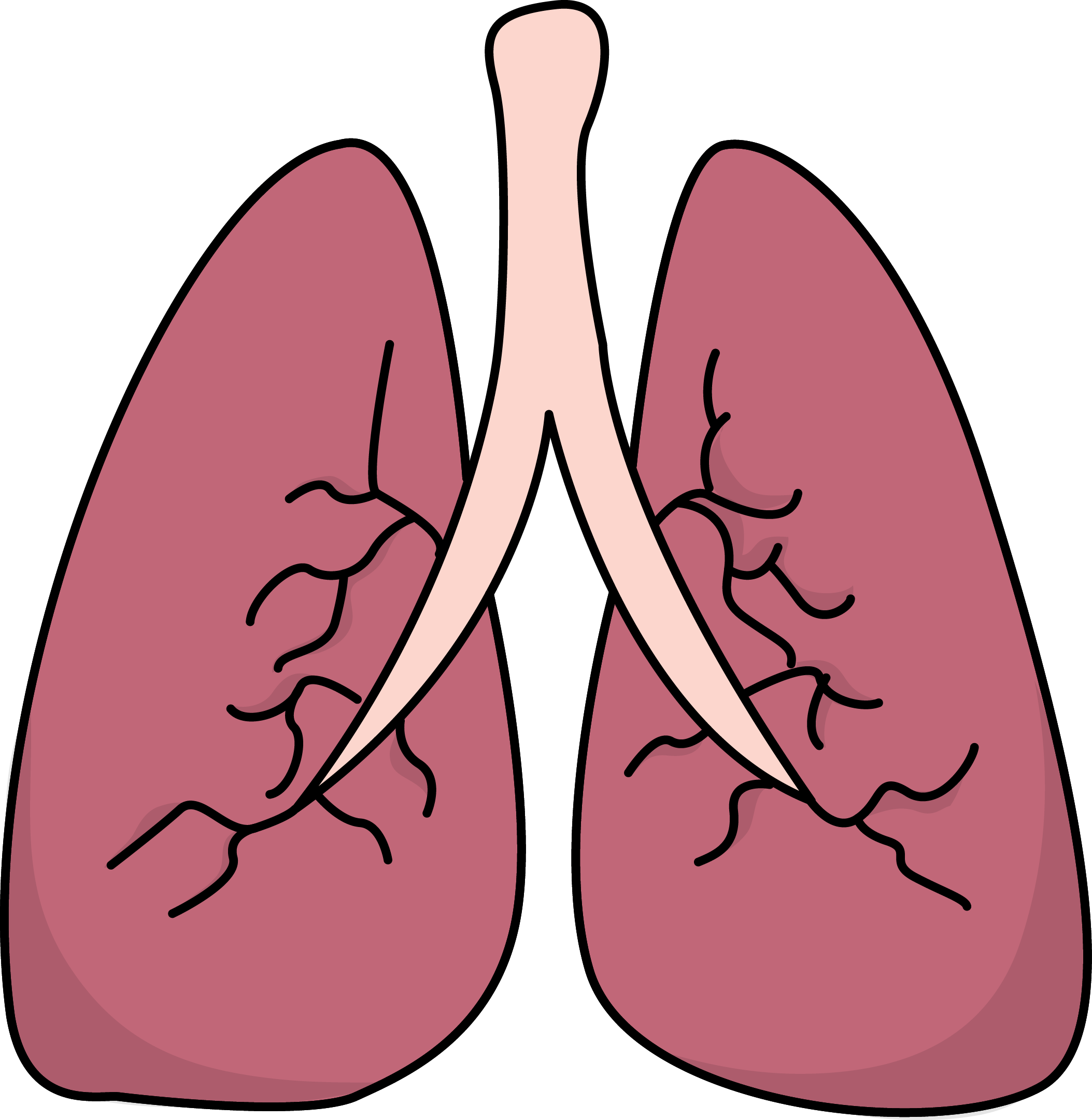the-human-lung-for-kids-clipart-with-labels-clipart-best