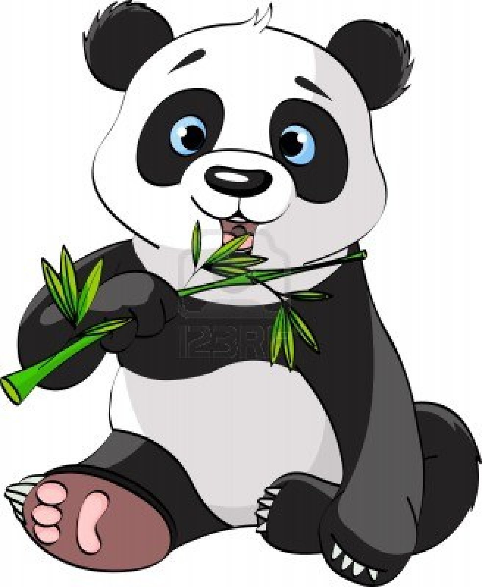 1000+ images about Pandas