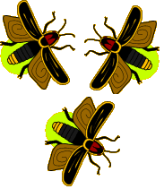 Firefly Clip Art - Tumundografico