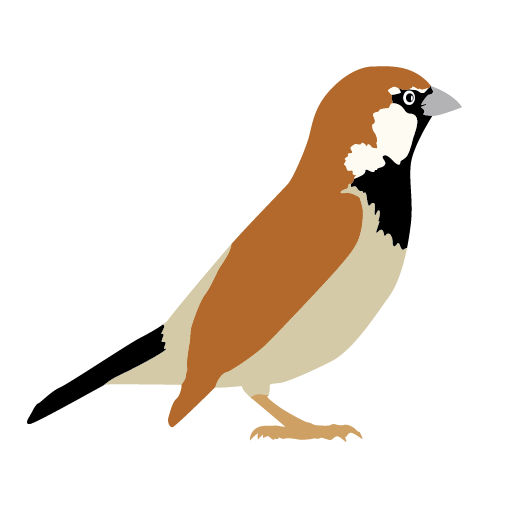 Sparrow Clipart - Tumundografico