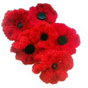 Poppies for Remembrance Day - Polyvore