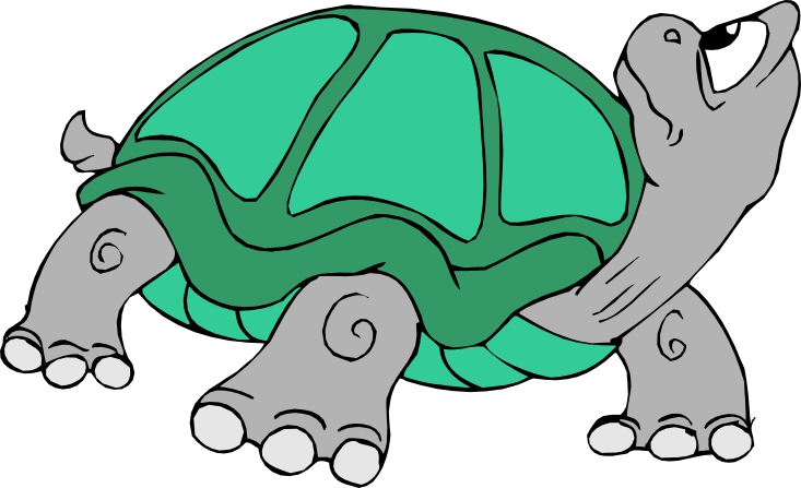 Cartoon Turtle