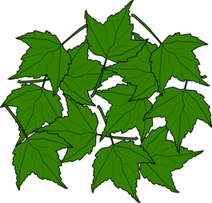 Maple Leaves clip art - vector clip art online, royalty free ...